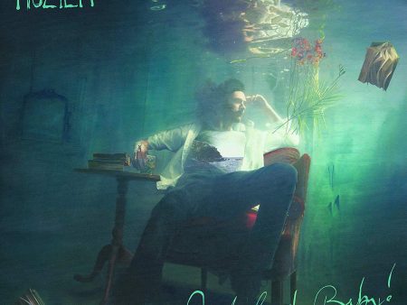 2LP - Hozier - Wasteland Baby Supply