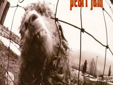 USED CD - Pearl Jam – Vs. Hot on Sale