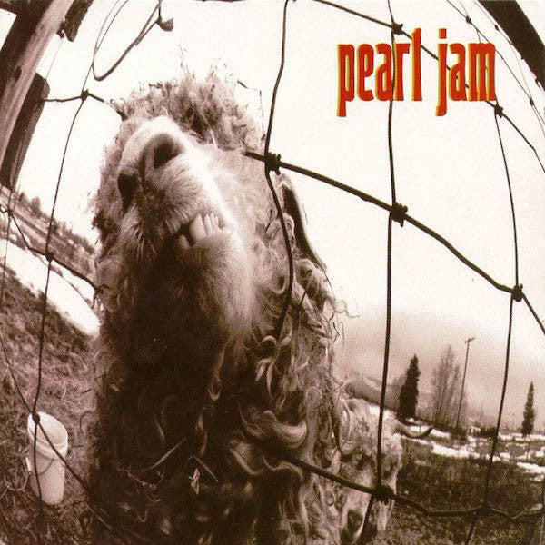 USED CD - Pearl Jam – Vs. Hot on Sale