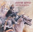 USED CD- Ronnie Wood – Not For Beginners For Sale