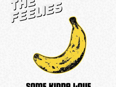 2LP - The Feelies - Some Kinda Love: Performing The Music Of The Velvet Underground Online Sale