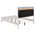 Barzini Queen Upholstered Panel Bed White Supply