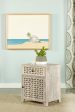 August White Washed 1-Door Accent Cabinet For Discount