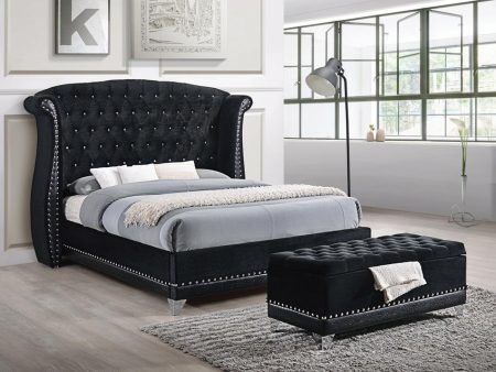 Barzini Queen Tufted Upholstered Bed Black Sale