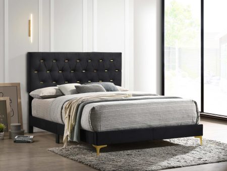 Kendall Tufted Panel Queen Bed Black Gold Online Hot Sale