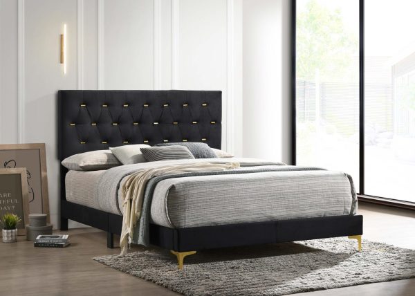 Kendall Tufted Panel Queen Bed Black Gold Online Hot Sale