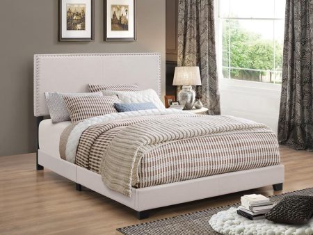 Boyd Queen Upholstered Bed with Nailhead Trim Ivory For Sale