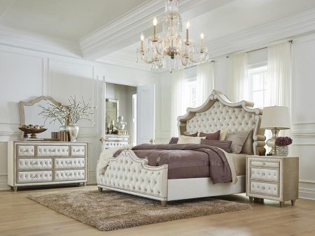 Antonella Ivory Camel Upholstered Panel Bedroom Set Online Sale