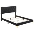 Kendall Tufted Panel Queen Bed Black Gold Online Hot Sale