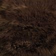 Bellethrone Brown Pillow Online