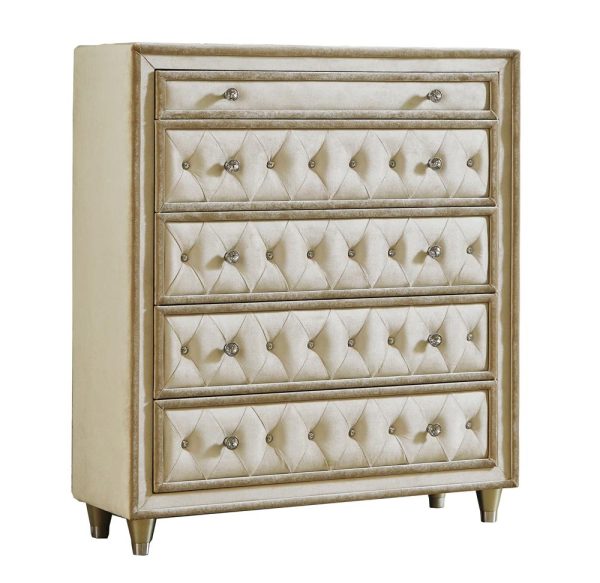 Antonella Ivory Camel 5-Drawer Upholstered Chest Cheap