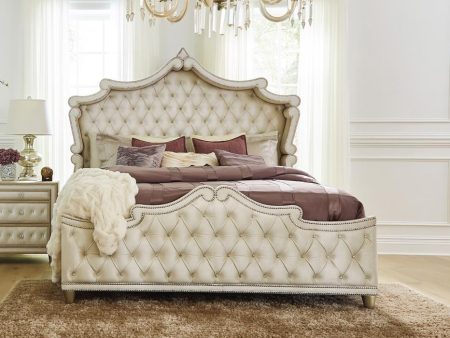 Antonella Upholstered Tufted Queen Bed Ivory Camel For Cheap