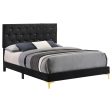 Kendall Tufted Panel Queen Bed Black Gold Online Hot Sale